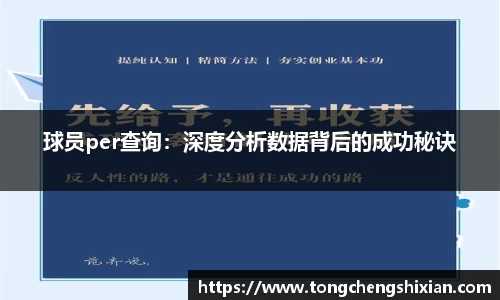 球员per查询：深度分析数据背后的成功秘诀